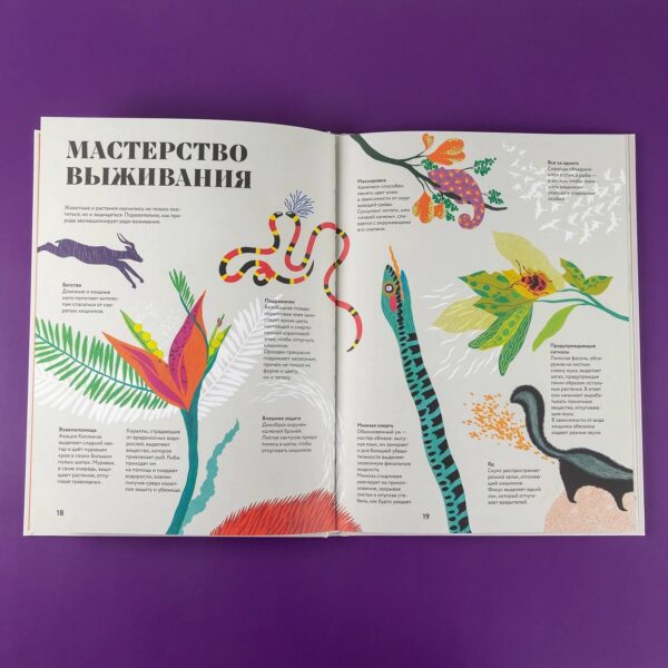 Чудесная книга смерти — изображение 8