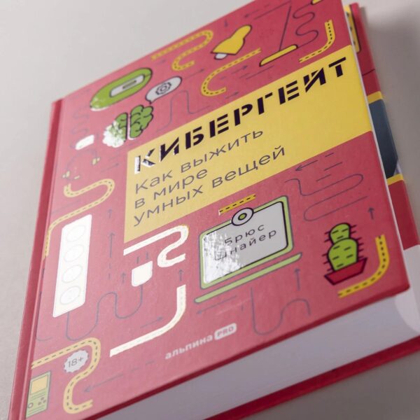 Кибергейт: Как выжить в мире умных вещей — изображение 6