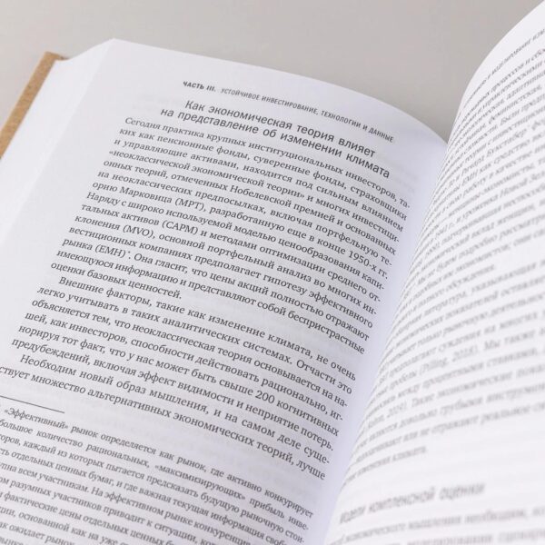 Устойчивое инвестирование. Навигатор по миру ESG — изображение 10