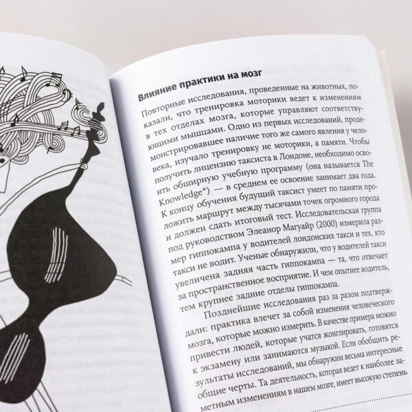 Музыка и мозг: Как музыка влияет на эмоции, здоровье и интеллект — изображение 9