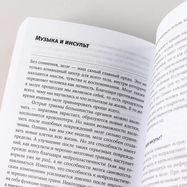 Музыка и мозг: Как музыка влияет на эмоции, здоровье и интеллект — изображение 10