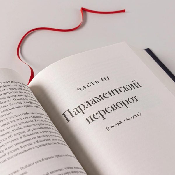 Падение Робеспьера: 24 часа в Париже времен Великой французской революции — изображение 9
