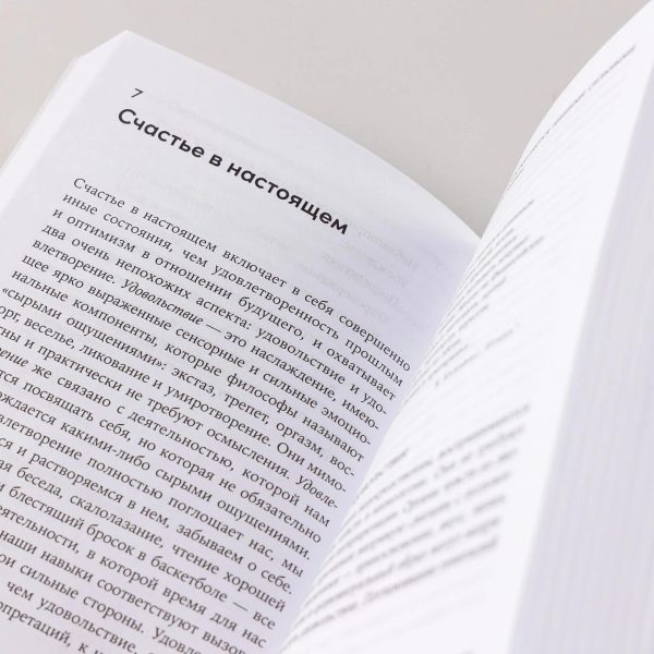Выученный оптимизм: Как изменить свой образ мыслей при помощи позитивной психологии — изображение 7